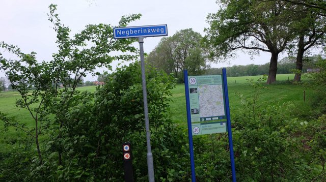 Dauwtrappen (donderdag 30 mei 2019)